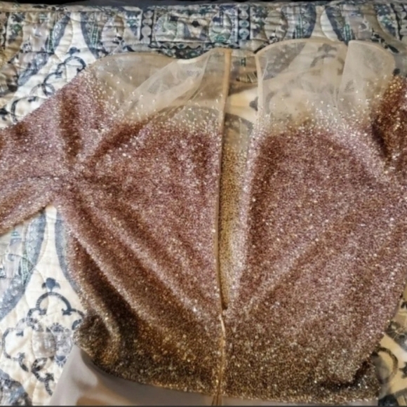 Pamella Roland Illusion Sequin & Faille A Line Gown - Picture 9 of 9